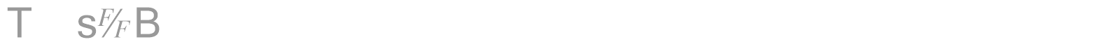 TmsFB font preview
